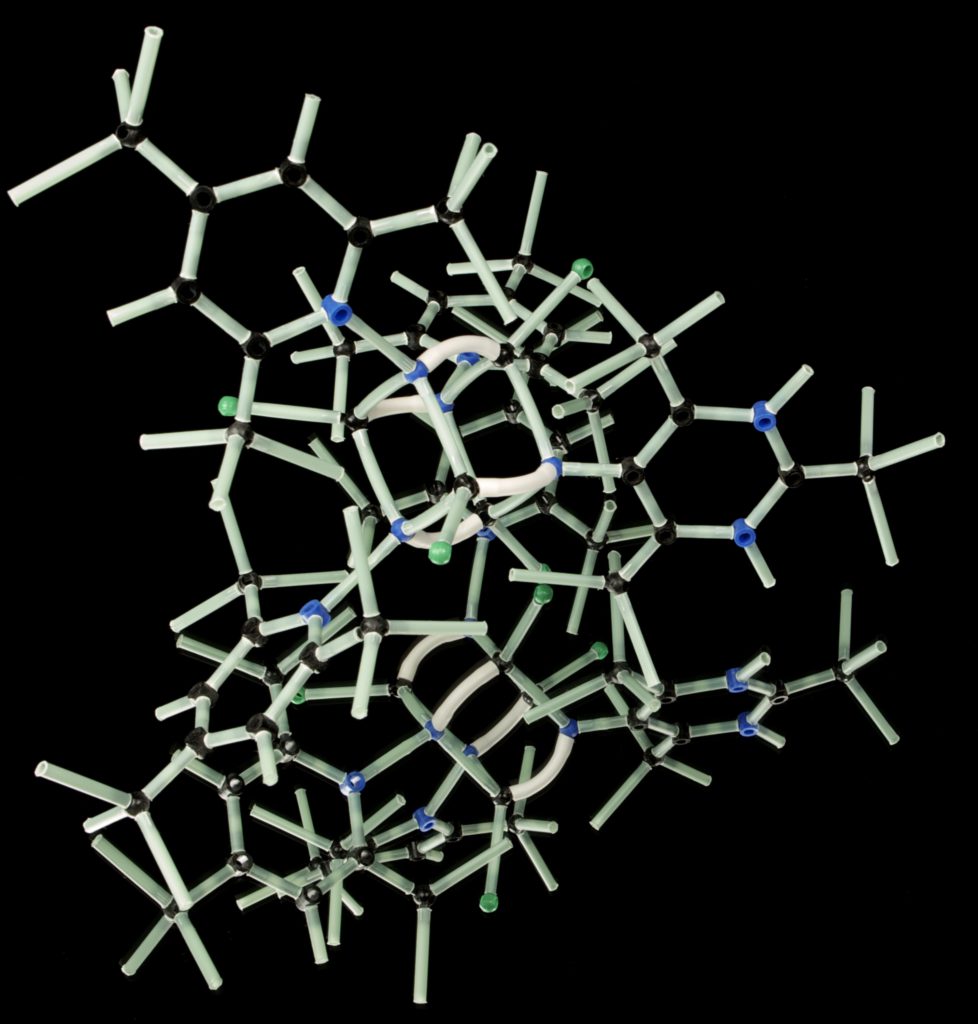 DNA is the cornerstone of personalized health