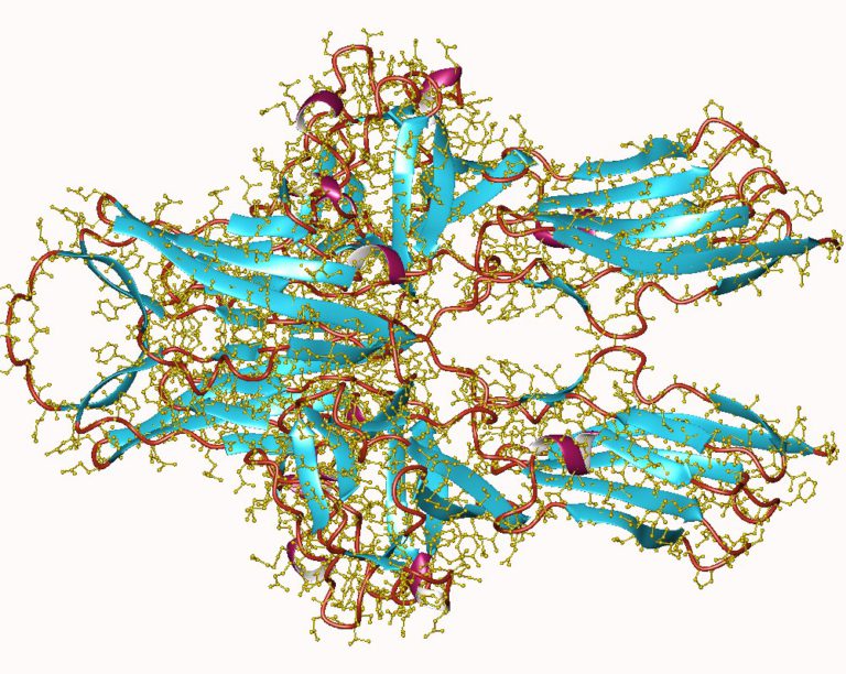 Anti-VEGF drugs to treat diabetic eye disease