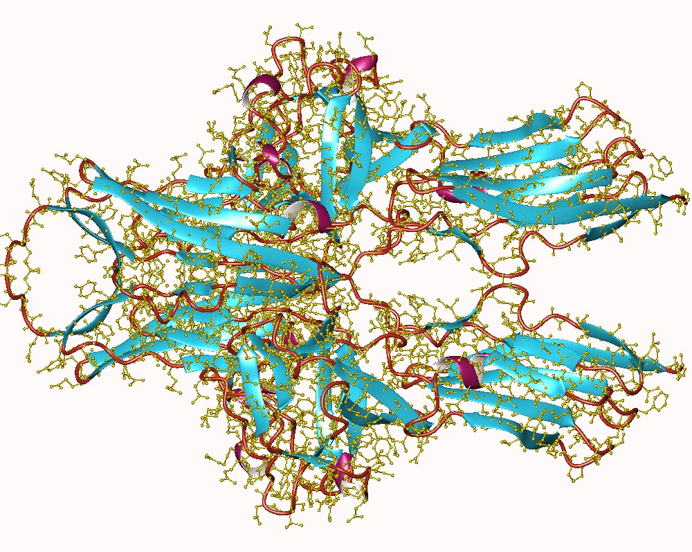 Anti-VEGF drugs to treat diabetic eye disease