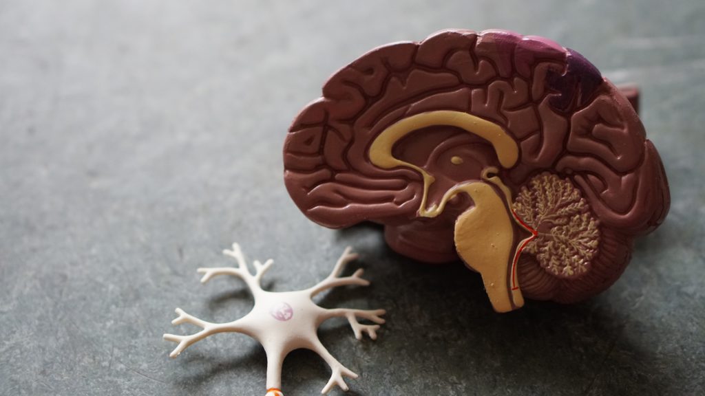 Uncontrolled diabetes and sugar levels impact cognitive performance