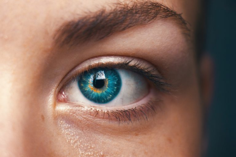 The different stages of diabetic retinopathy can be reversible