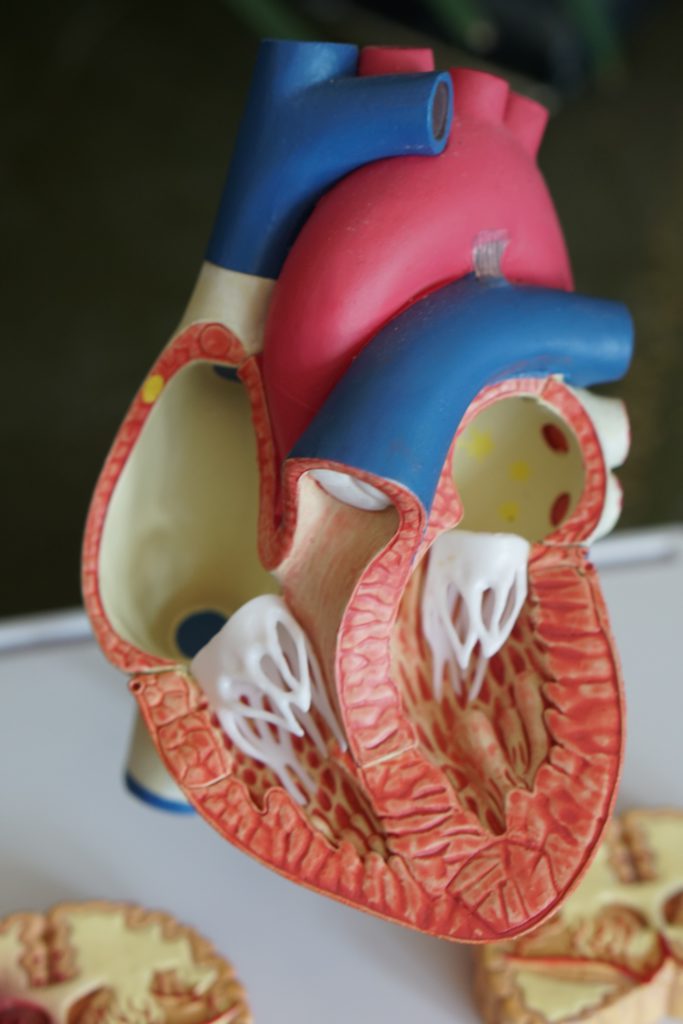 Keeping a healthy hear is key for people with diabetes