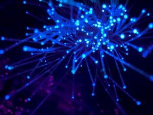 Blue light can be used to detect diabetic retinopathy